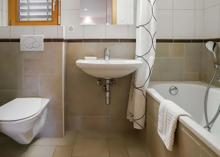 Domaine Des Reines C10 By Interhome * Nendaz