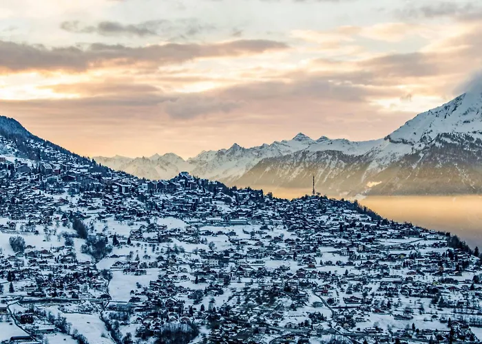 Domaine Des Reines C10 By Interhome Lejlighed *